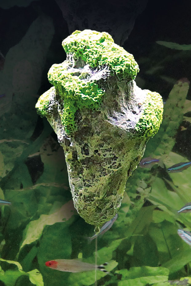 Amazonas Floating Rock Pandora