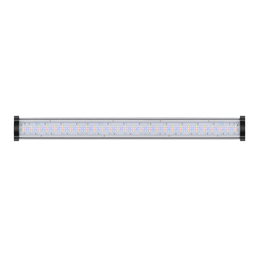 Aquatlantis Easy LED 2.0 für Volga 125