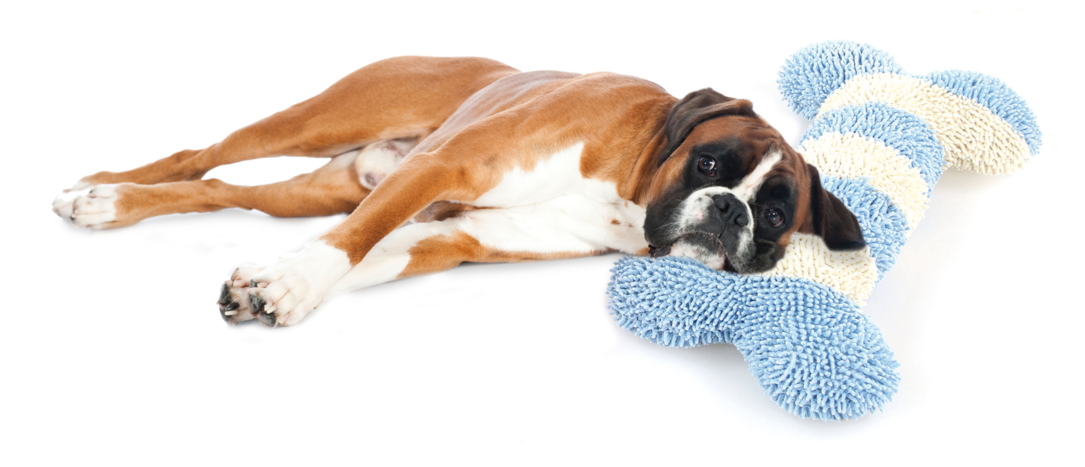 swisspet Twisted Bone, blau/beige