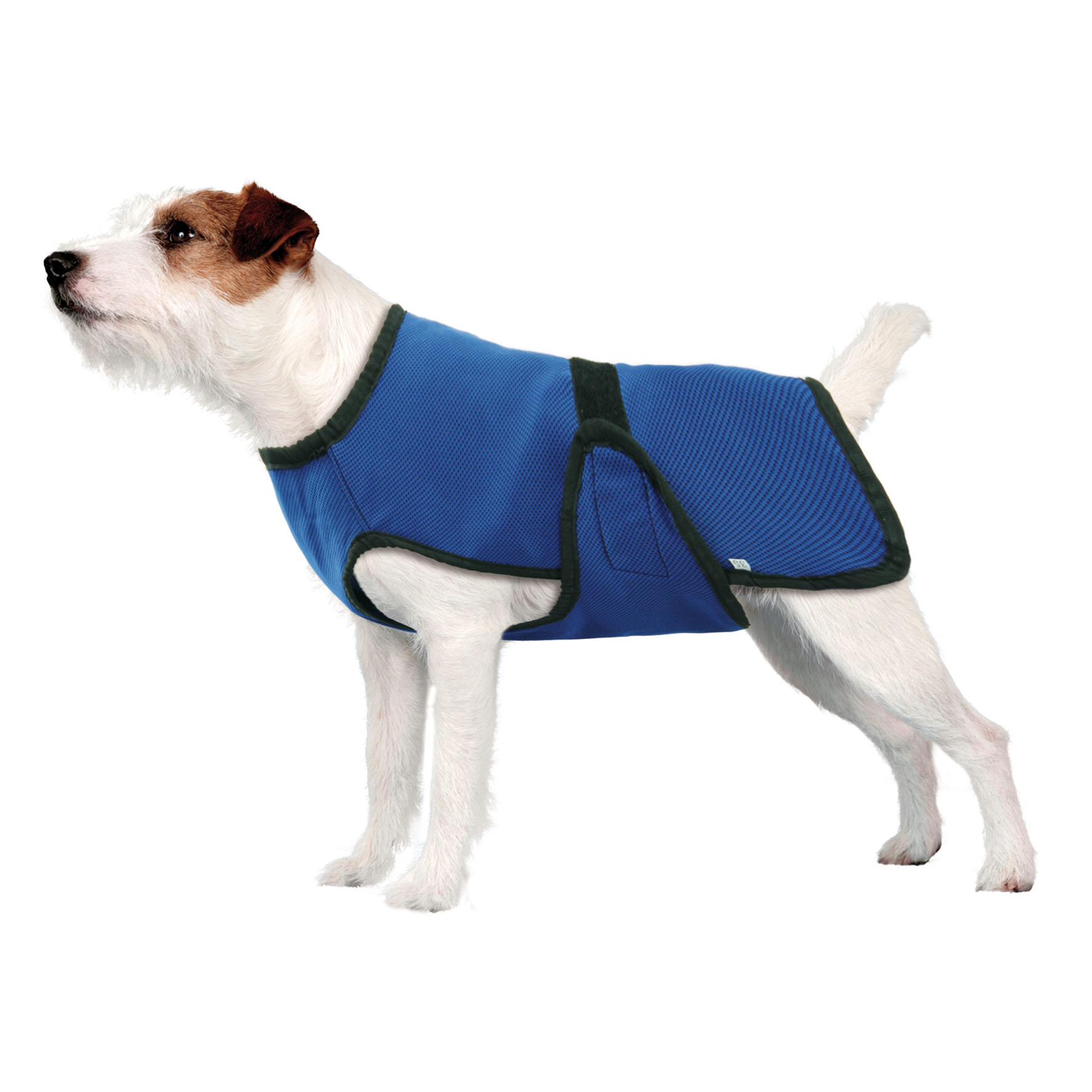 swisspet manteau refroidissement COOL, Longueur du dos 35 cm