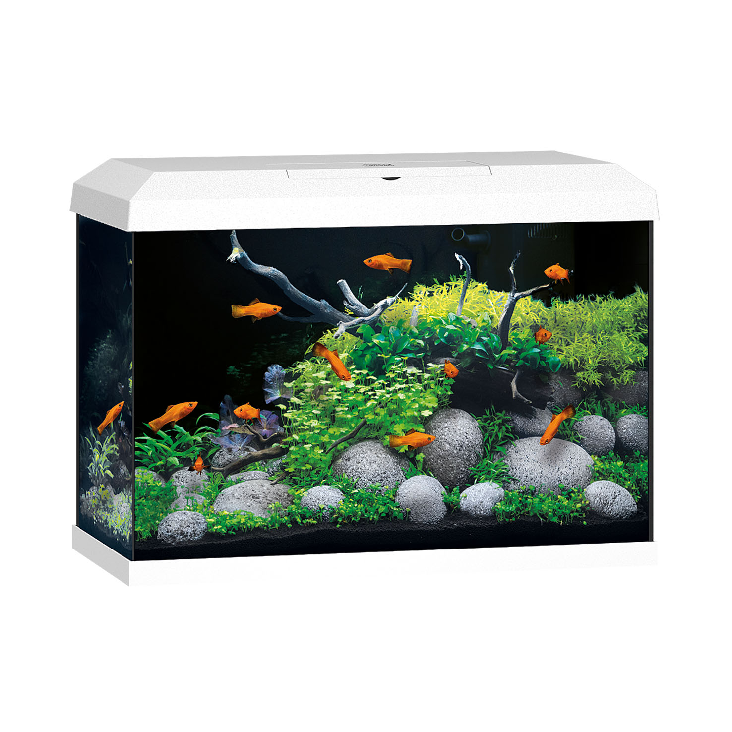 Juwel Aquarium Primo 70 LED 2.0, weiss