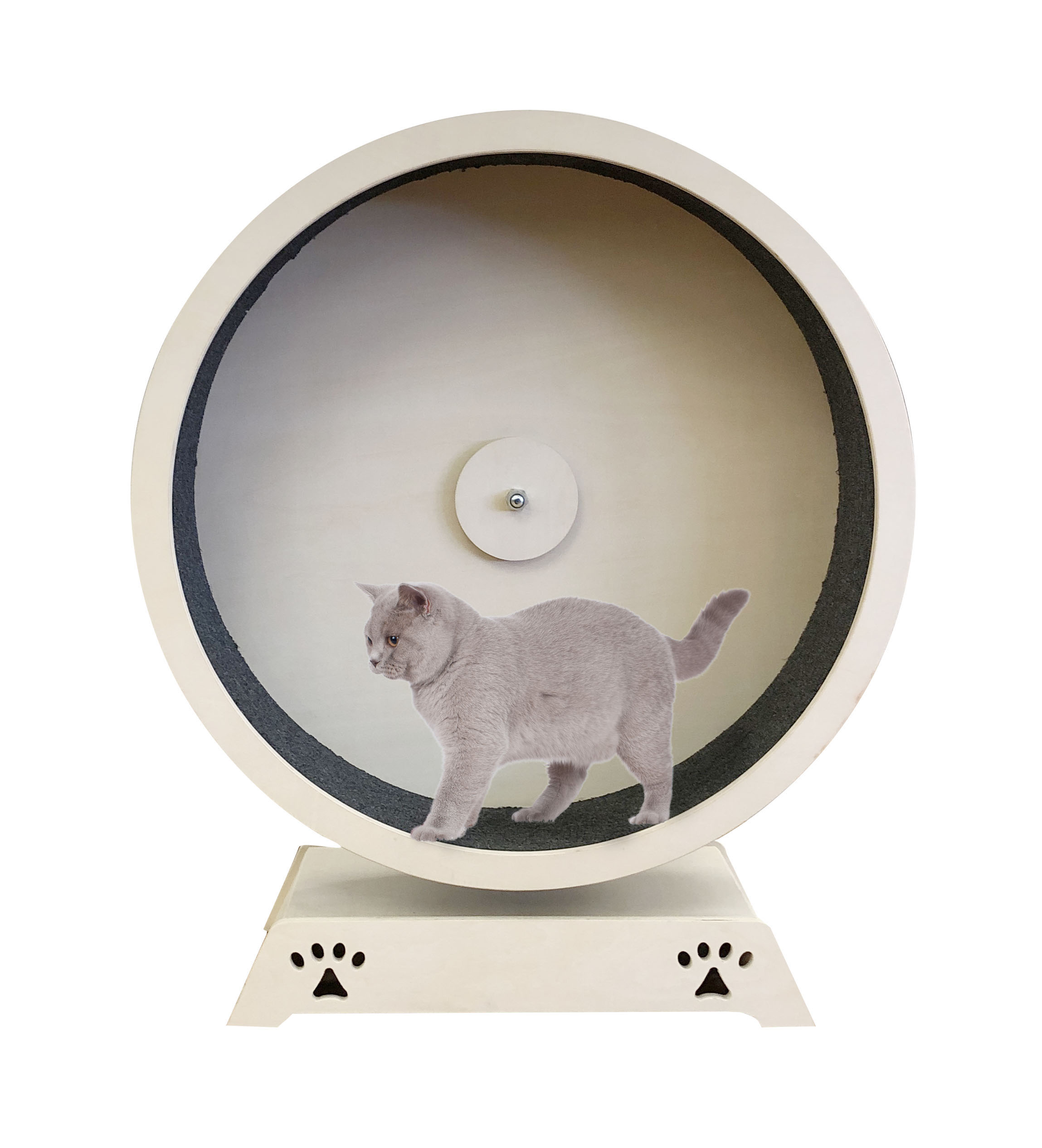 Roue à chat Rondulo 100