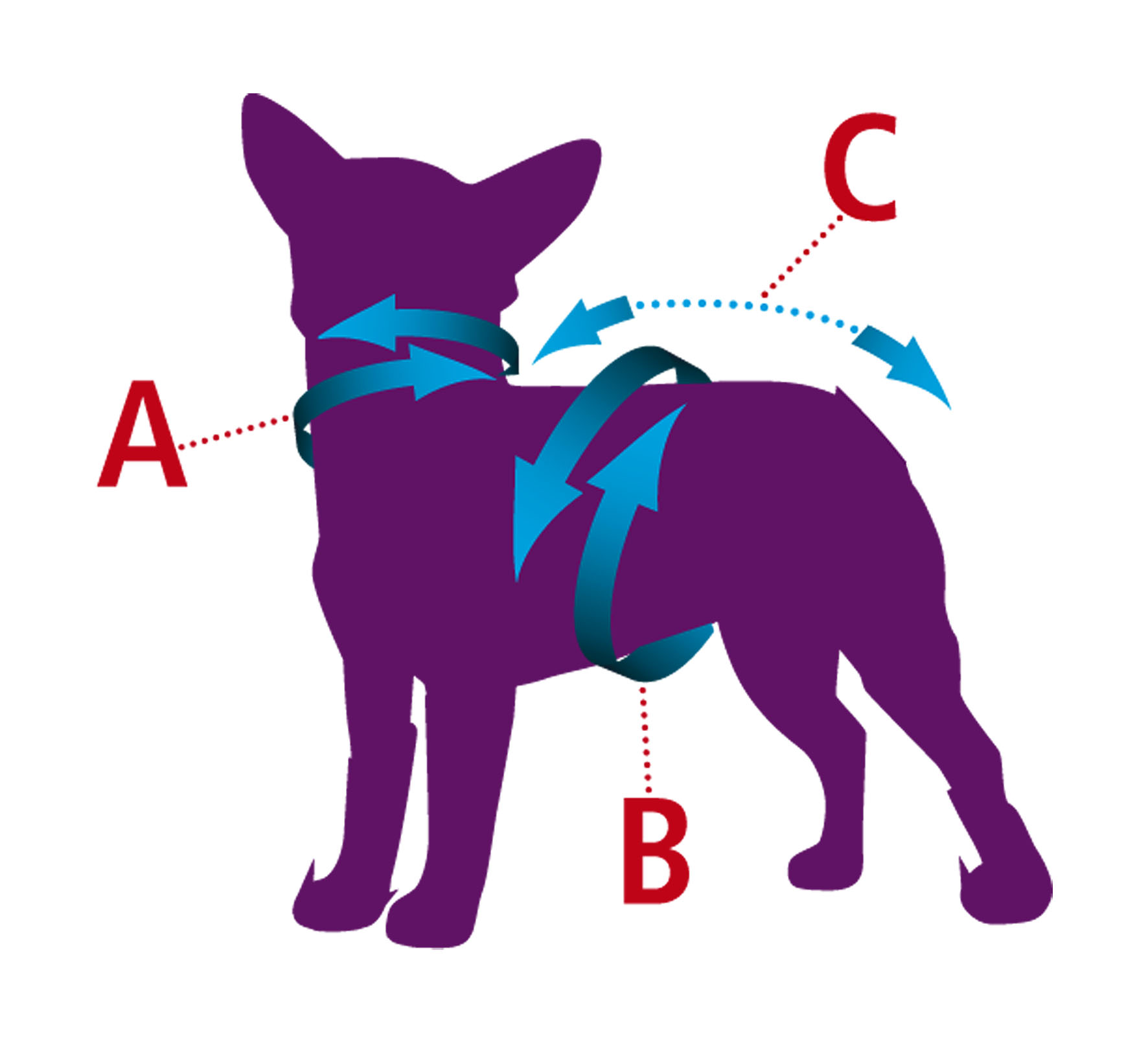TrendLine Hundemantel Westside XS, grau