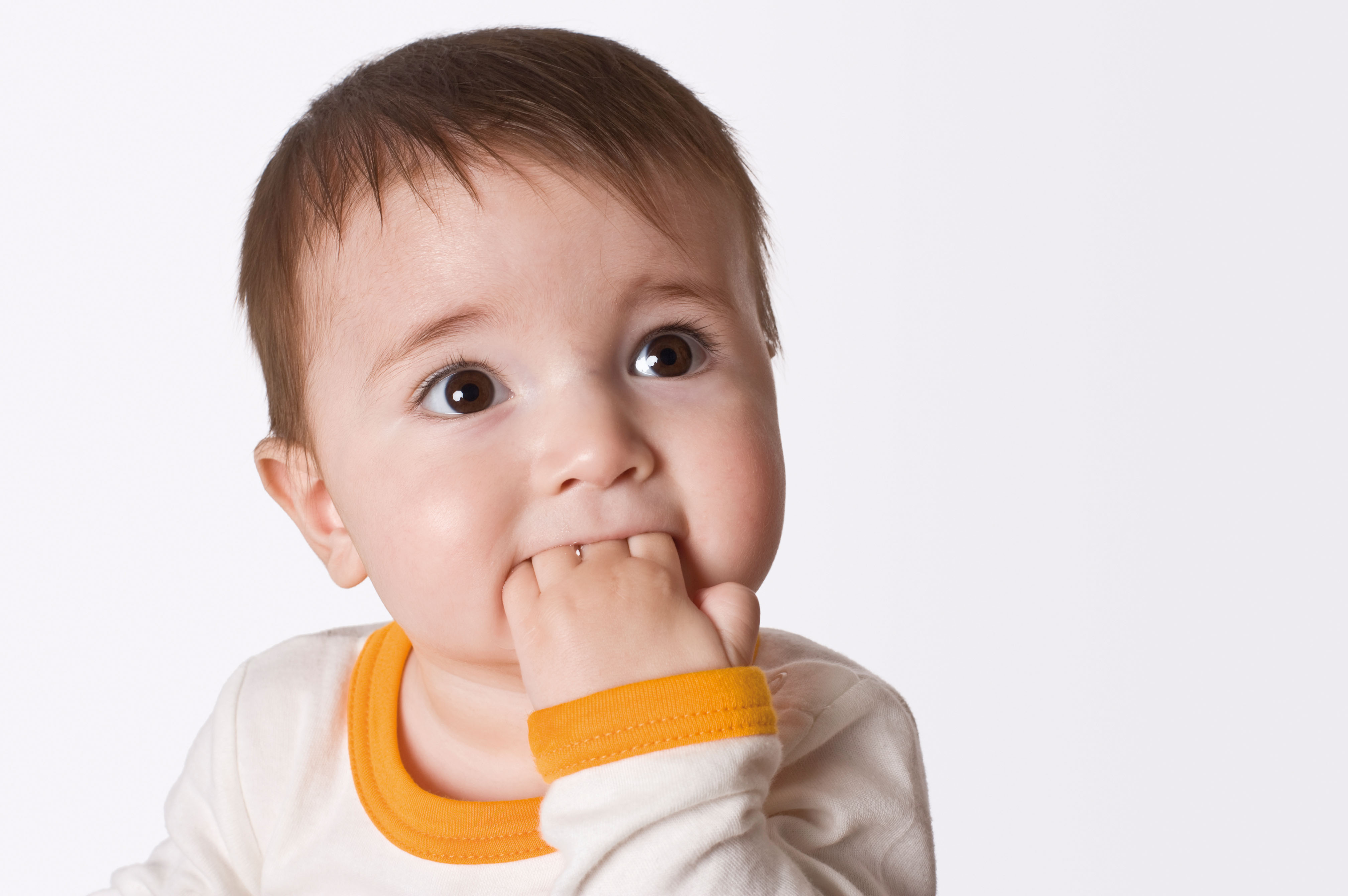 swisspet grille d’arrêt