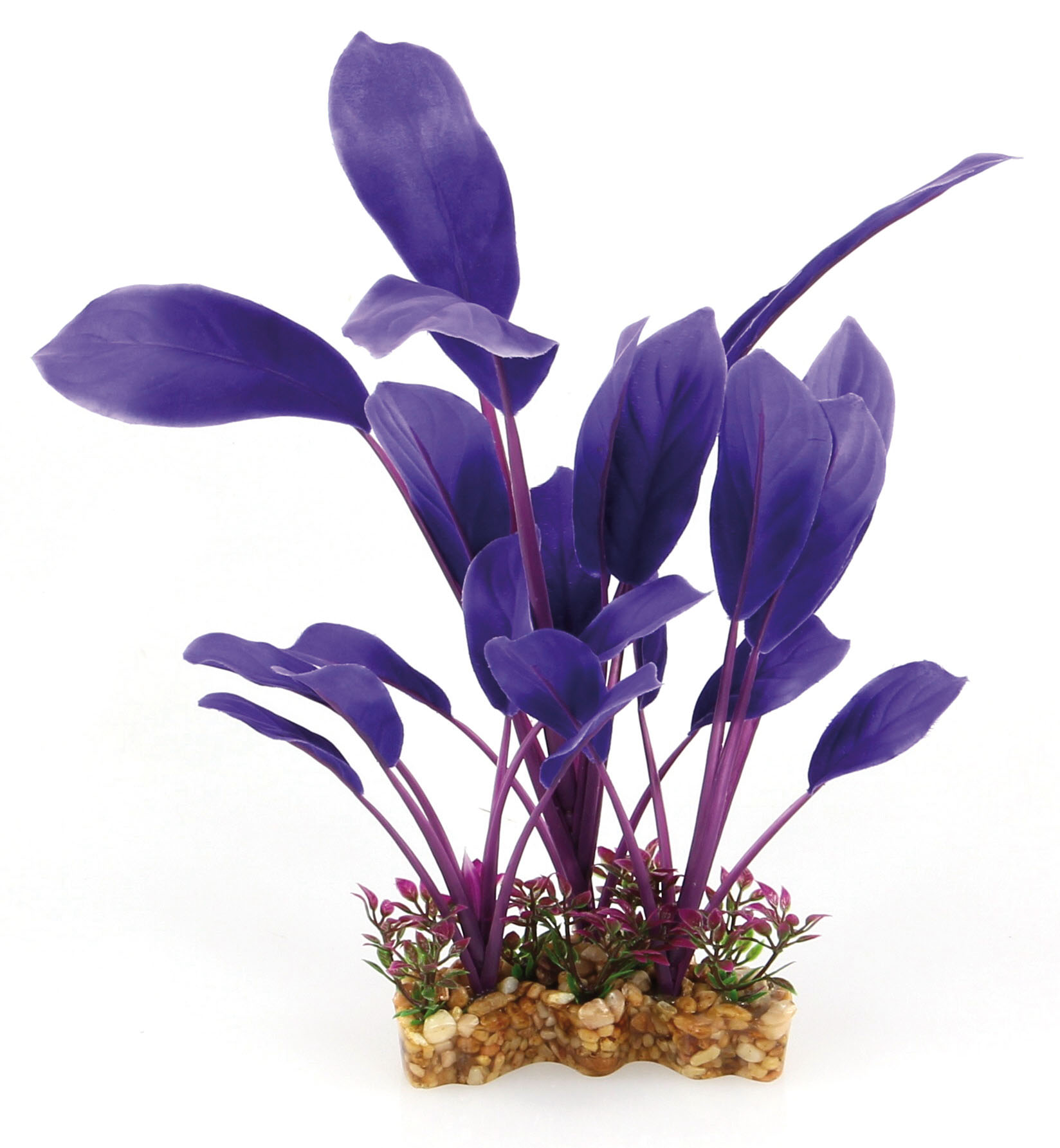 Amazonas Fantasy Plant VSB violette