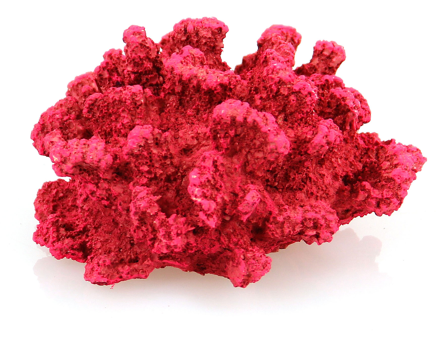 Corail rouge KP015-2-085A, 11x10.2x6.3cm