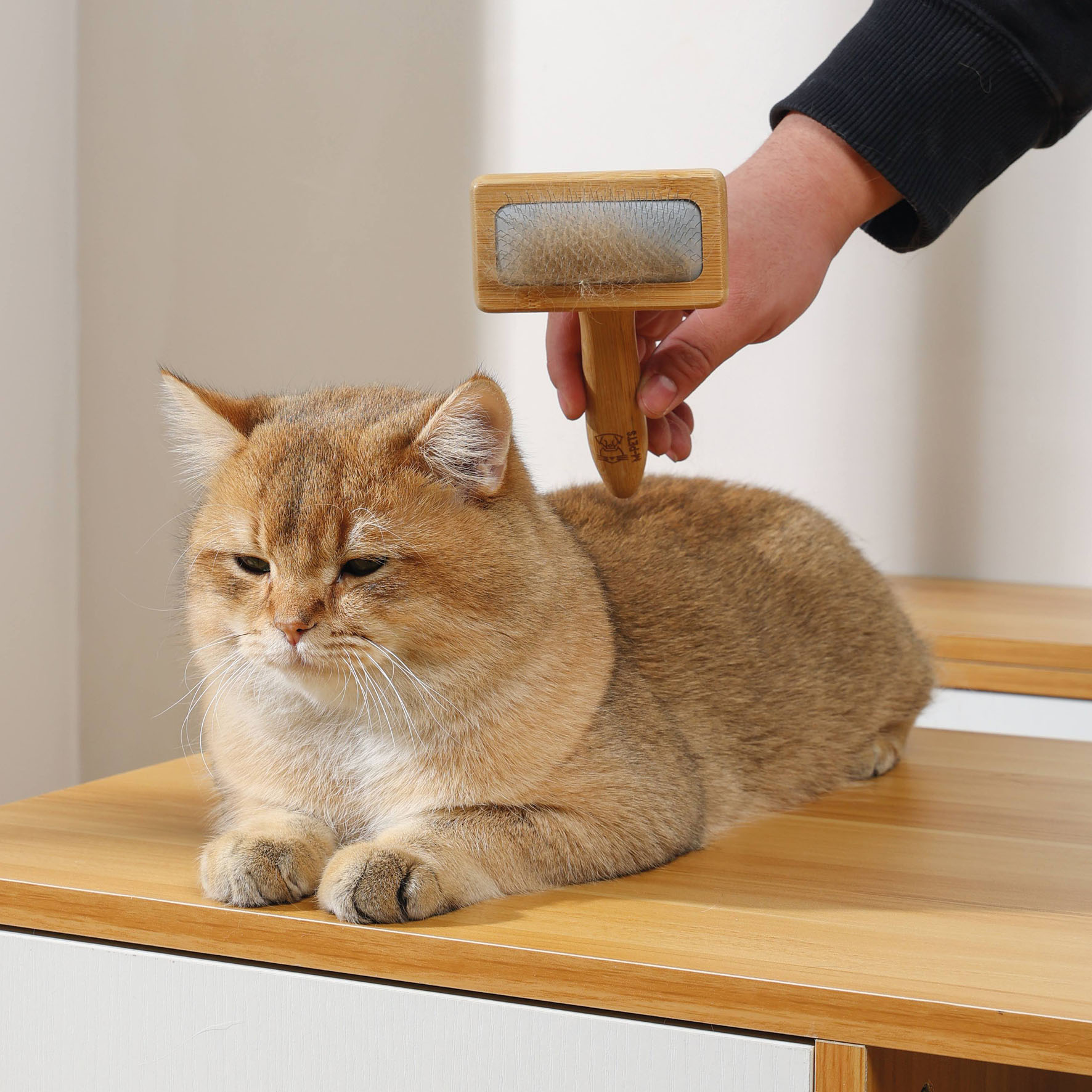 M-Pets spazzola a strappo in bambù M, beige, 9,5 x 15,5 cm