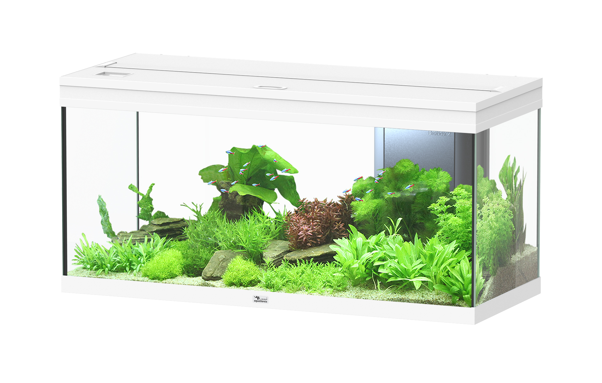 Aquatlantis Aquarium Volga 180 weiss