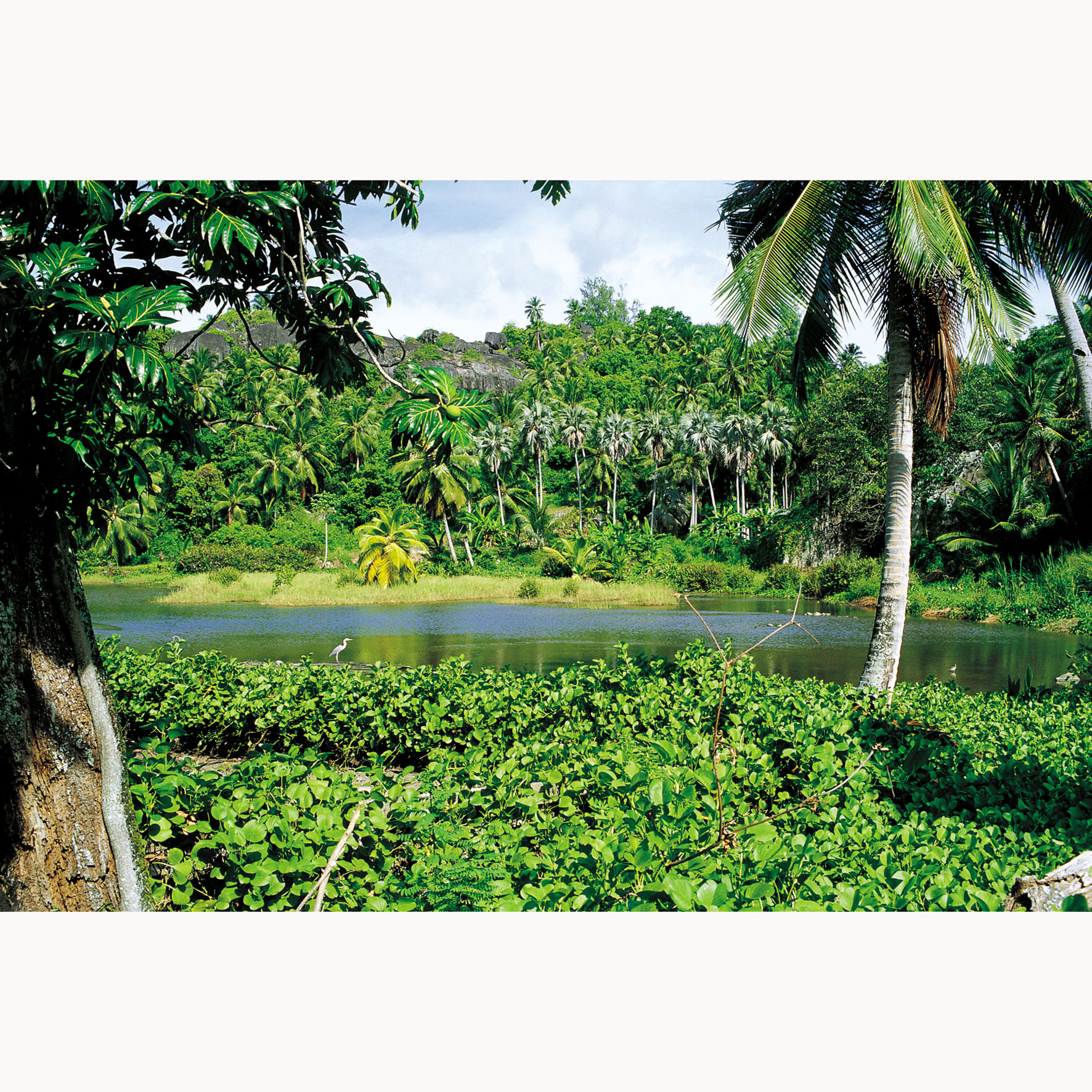 Exo Terra Leuchtstoffröhren UVB100, 38cm, 14W