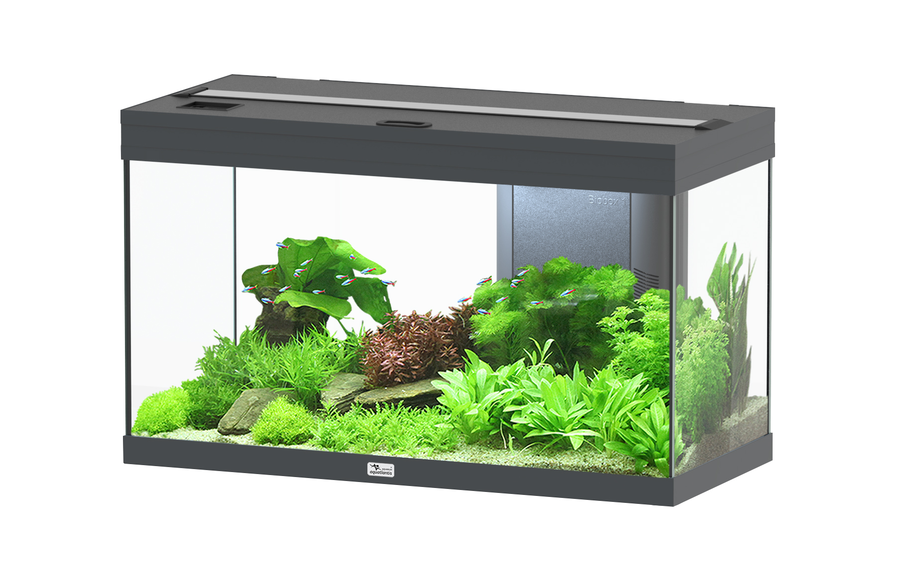 Aquatlantis Aquarium Volga 125 grau