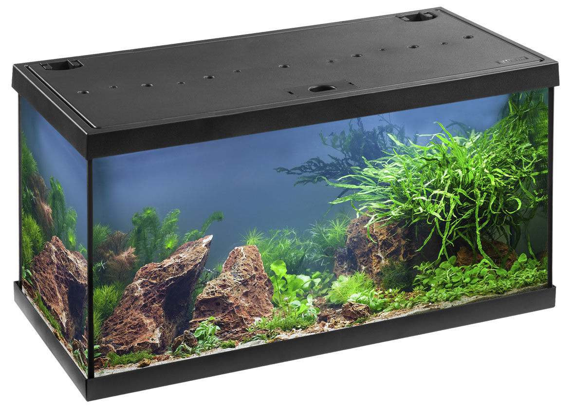 Eheim Aquarium Aquastar 54 LED, schwarz