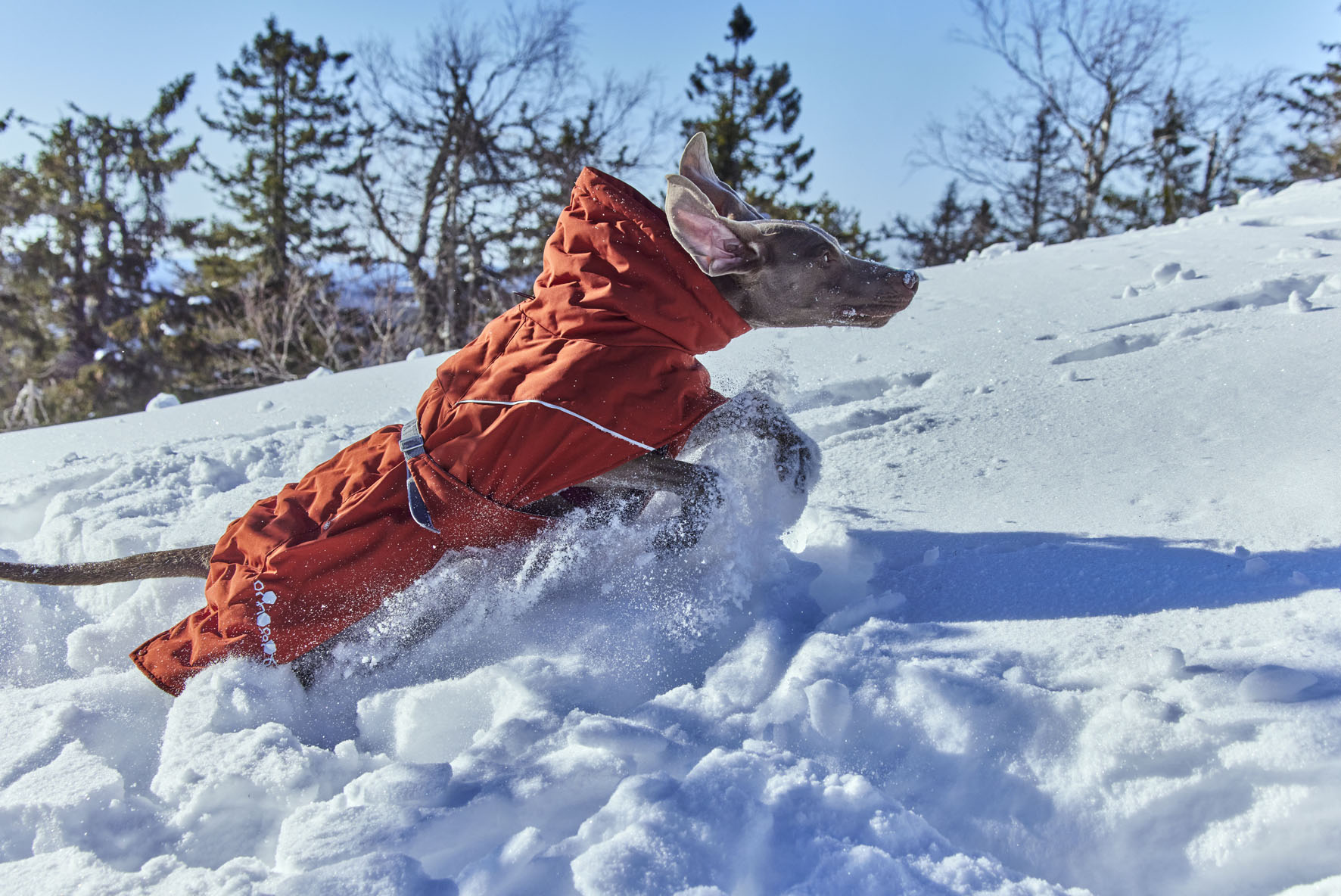 Hurtta Extreme warmer ECO cannella Taglia 25