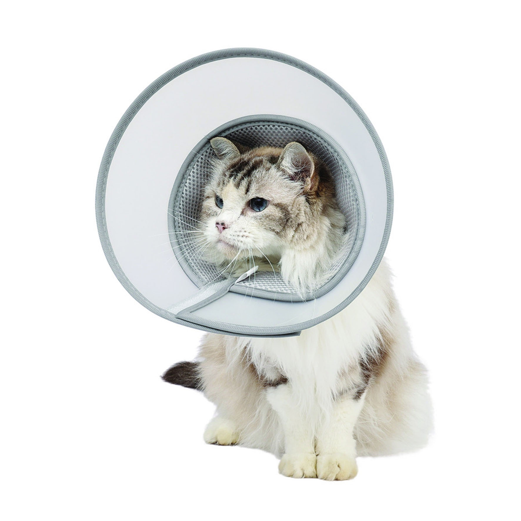 Collier de protection M-Pets pour chiens et chats S – tour de cou 17-25 cm, gris