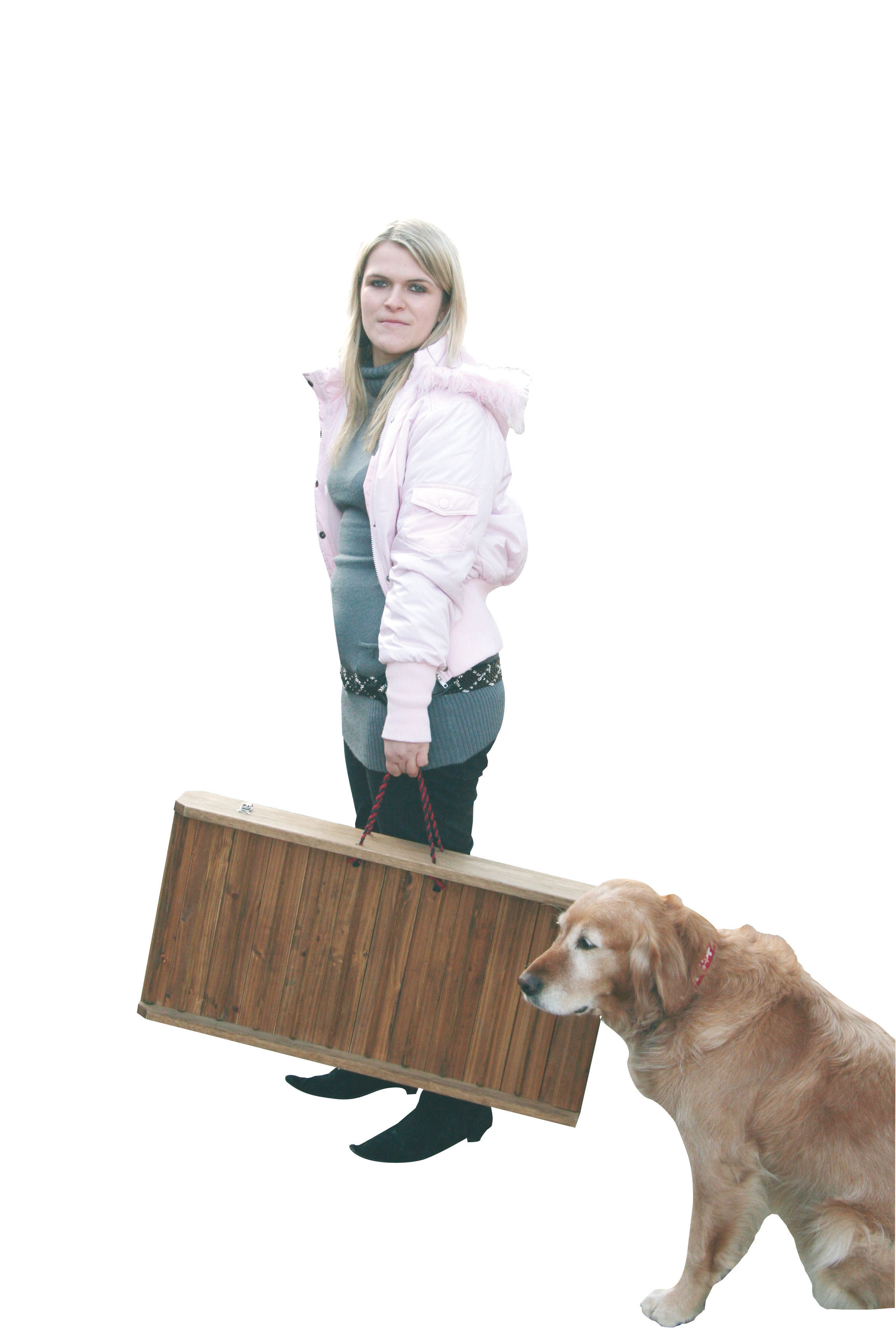 swisspet Autohunderampe Boarding