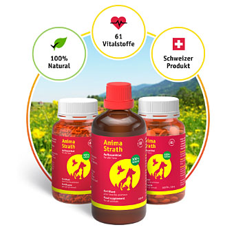Anima-Strath fortifiant 100ml