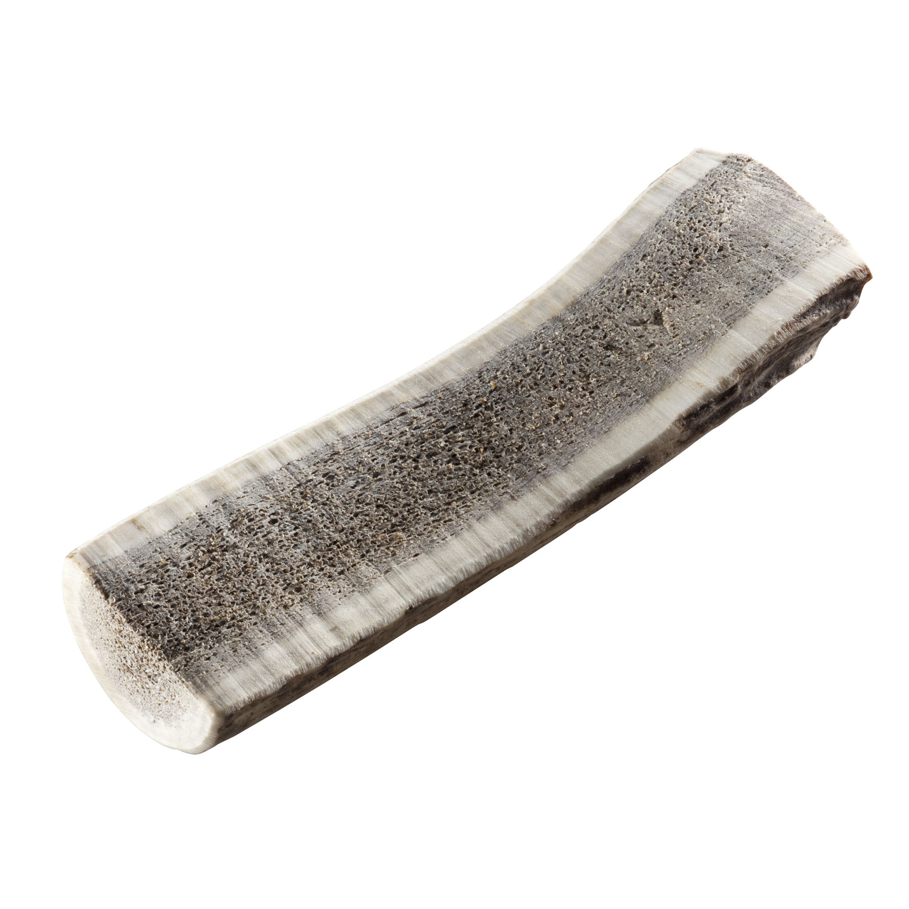 Chewies 1/2 Rothirsch-Geweihstange L