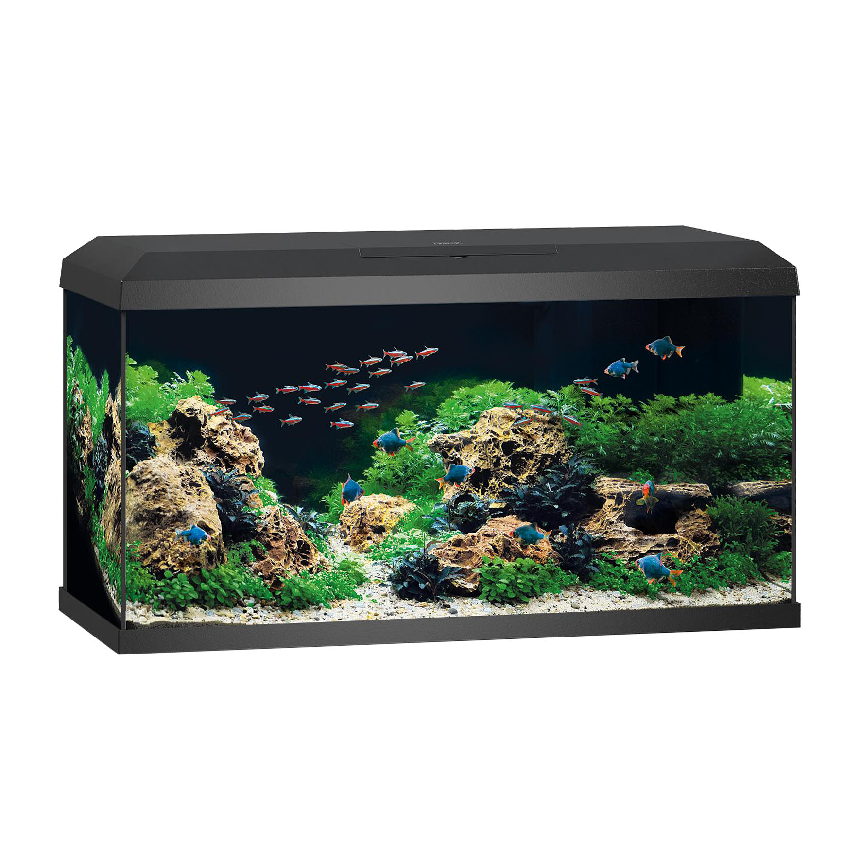 Juwel Aquarium Primo 110 LED 2.0, schwarz