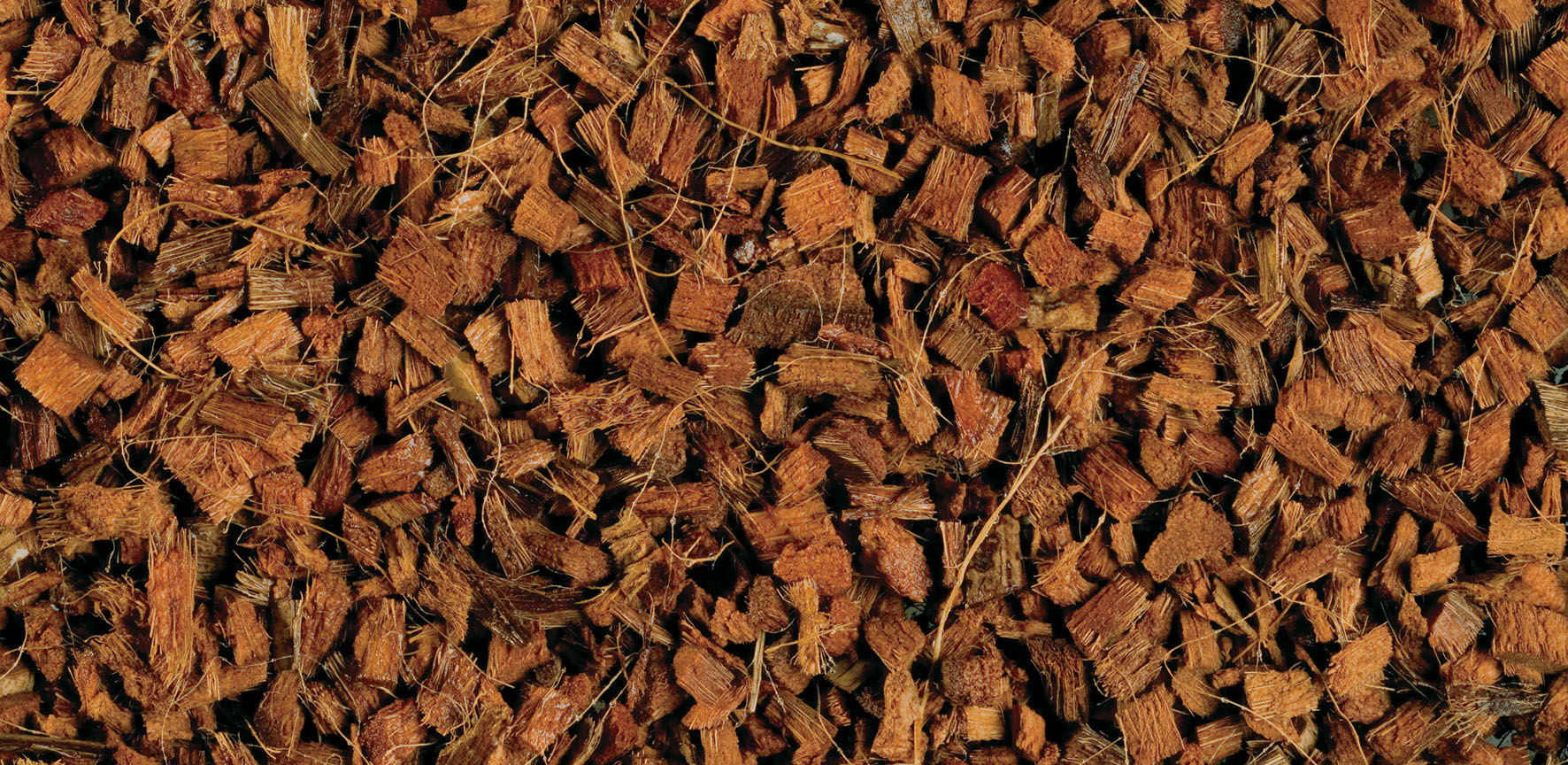 Exo Terra Substrat pour terrariums Coco Husk, 7l