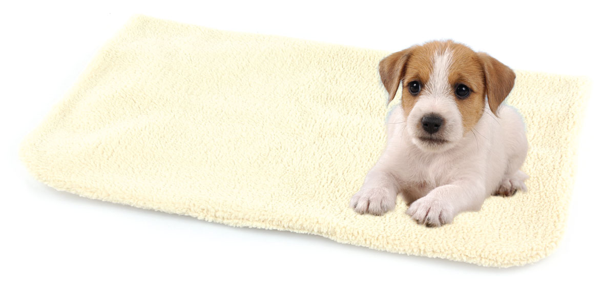 swisspet Hundedecke & Tasche Hardy