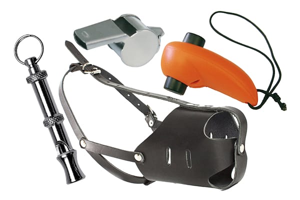 Erziehung & Training