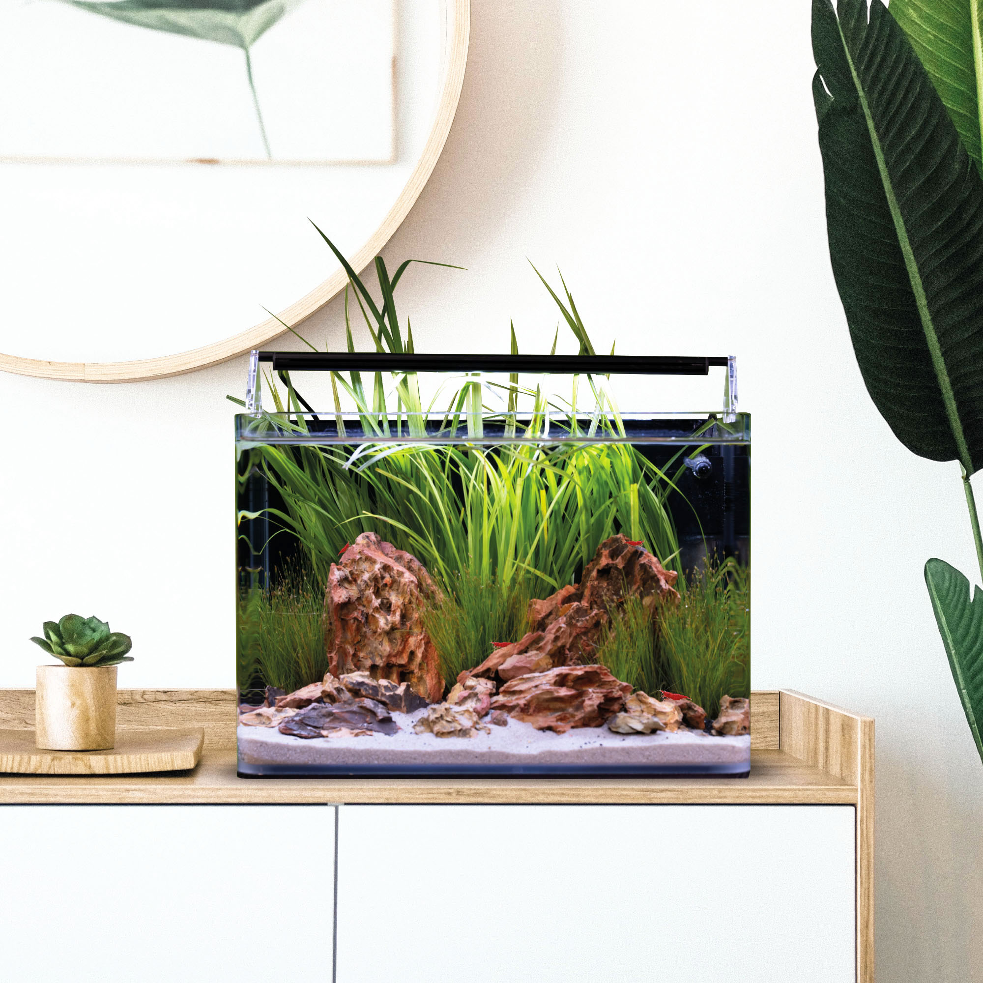 Dennerle Nano Tank Basic, 25L