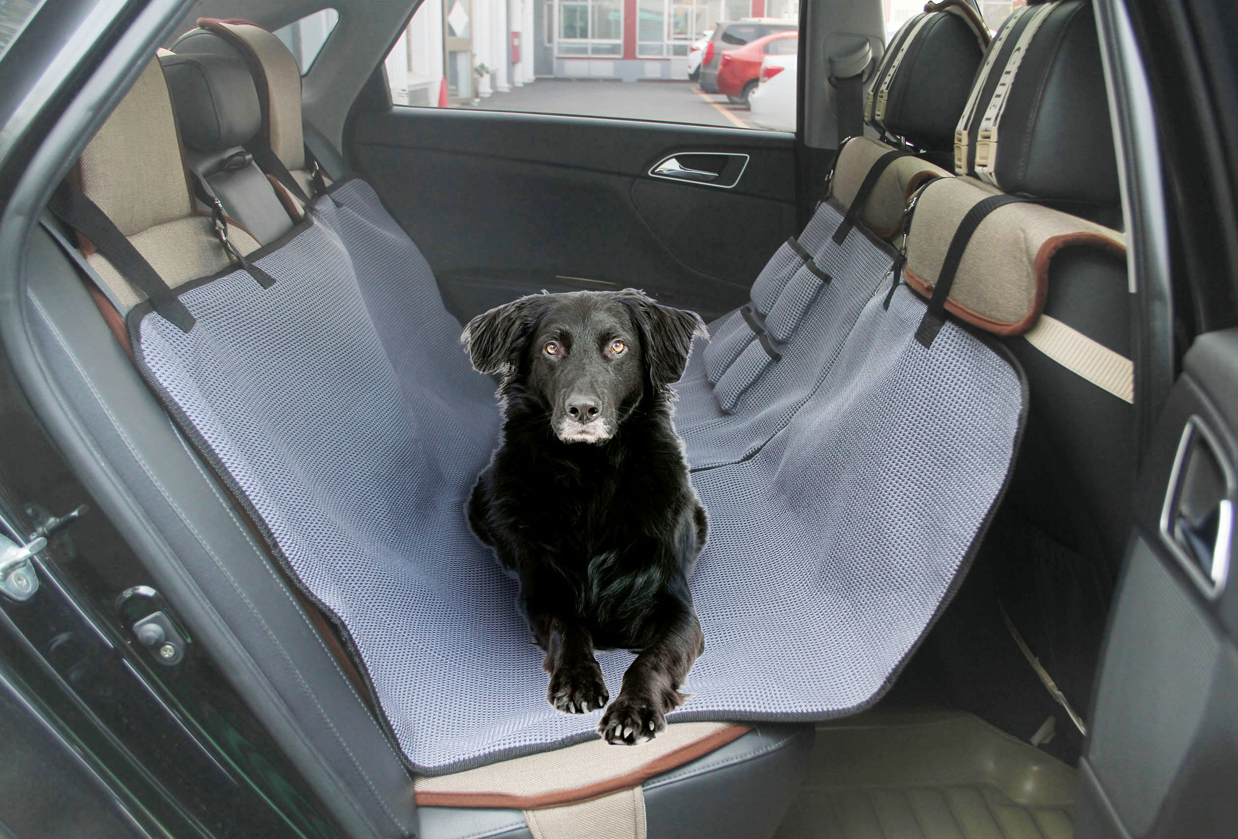 swisspet Autoschondecke Duma