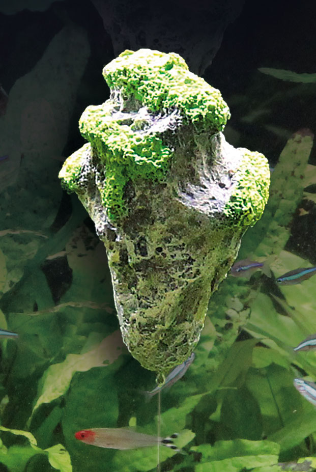 Amazonas Floating Rock Pandora