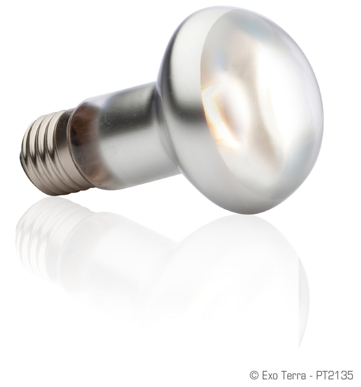 Exo Terra Intense Basking Spot, 50W