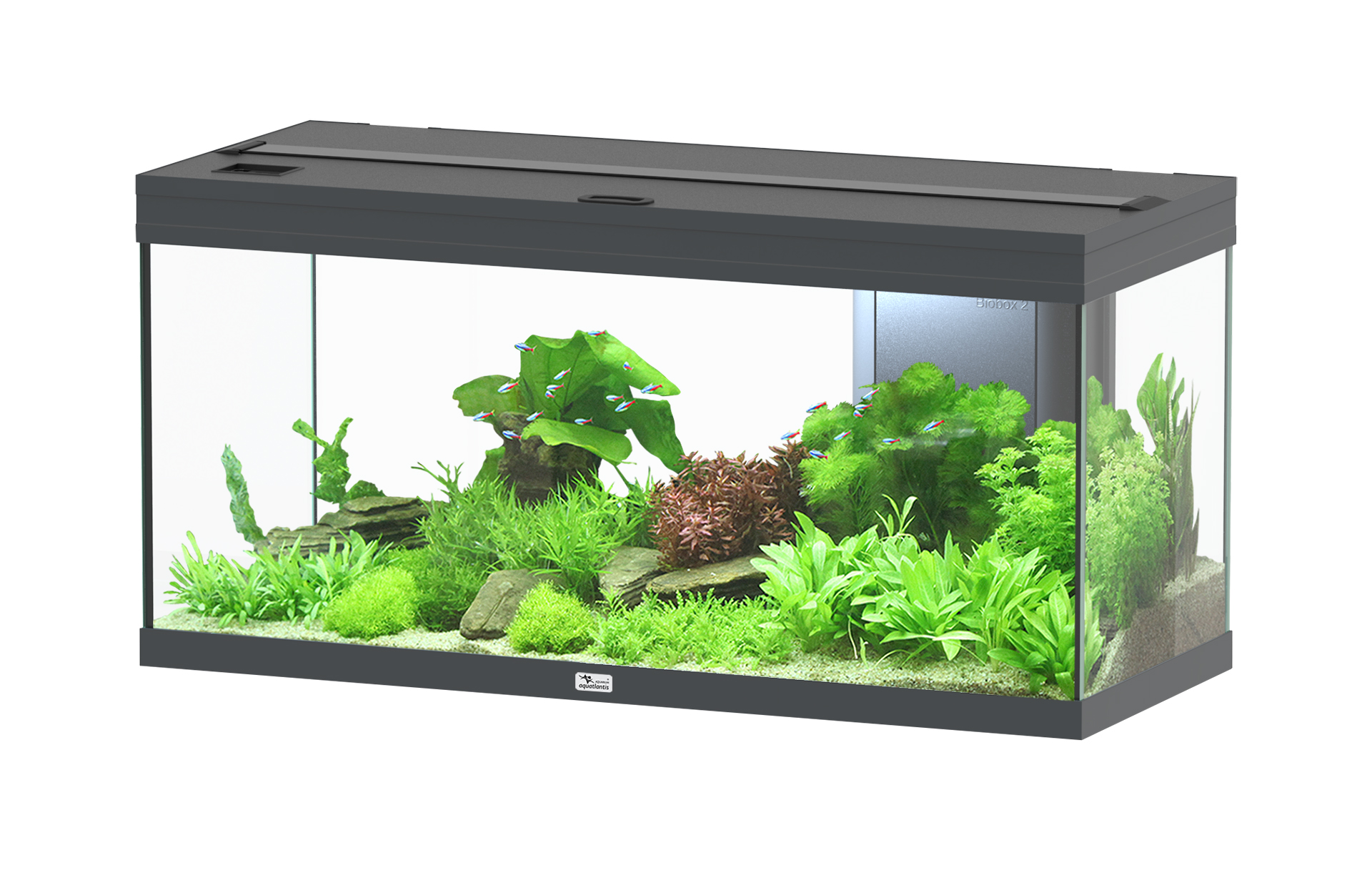 Aquarium Aquatlantis Volga 180 gris