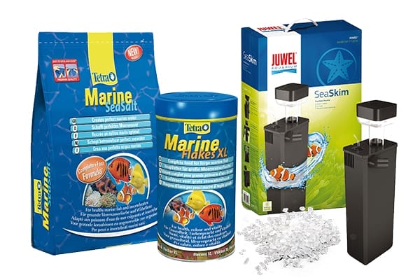 Meerwasseraquaristik