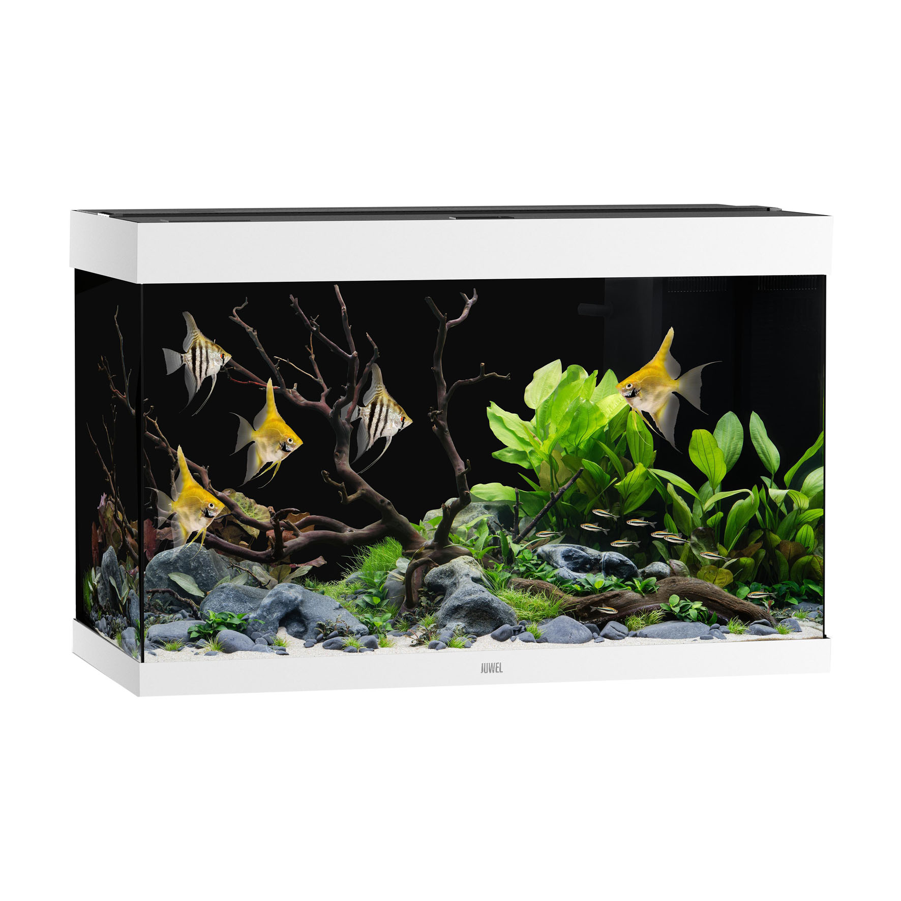 Juwel Aquarium Rio 290, weiss