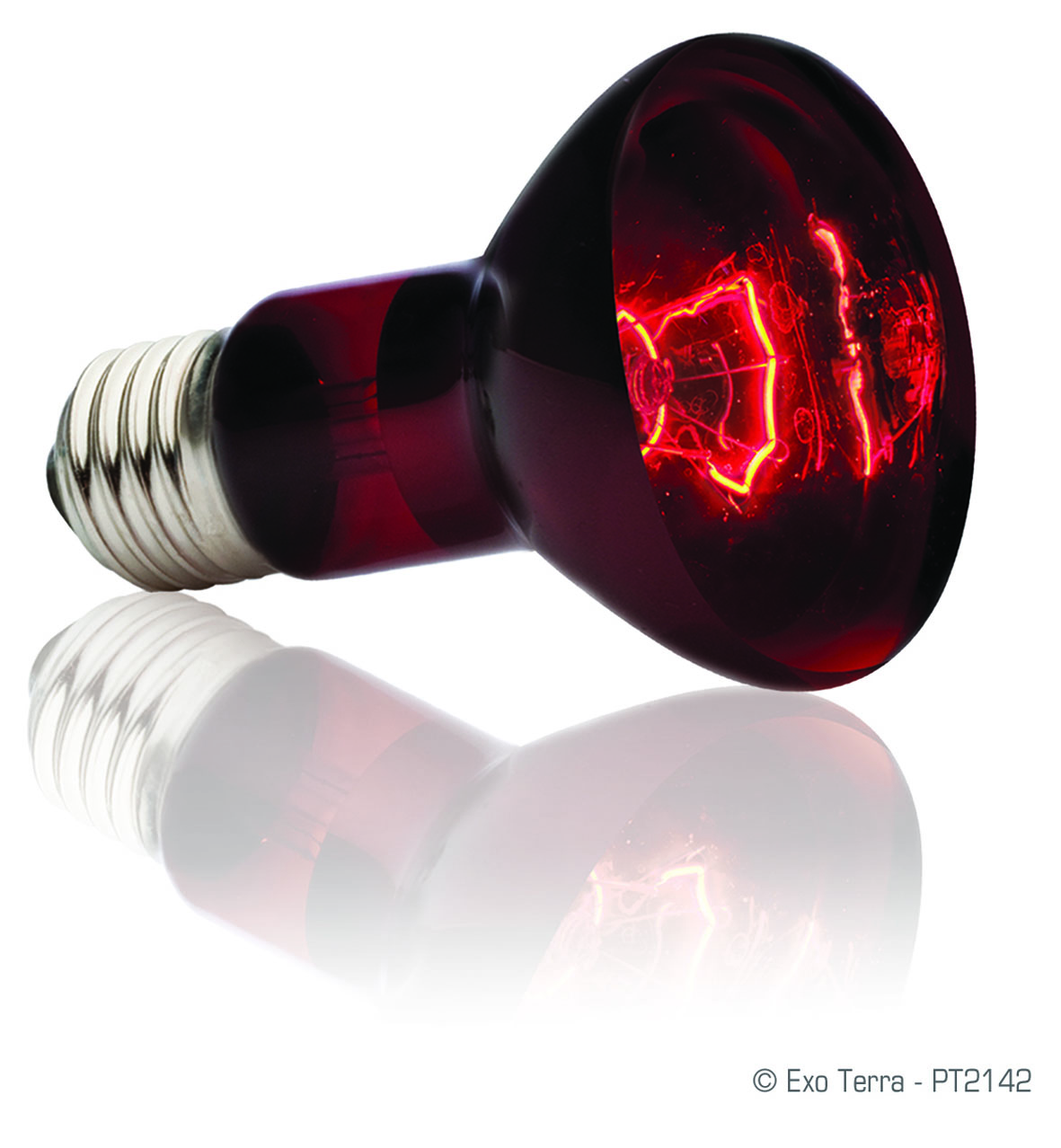 Exo Terra Lampe chauffante infrarouge 75W