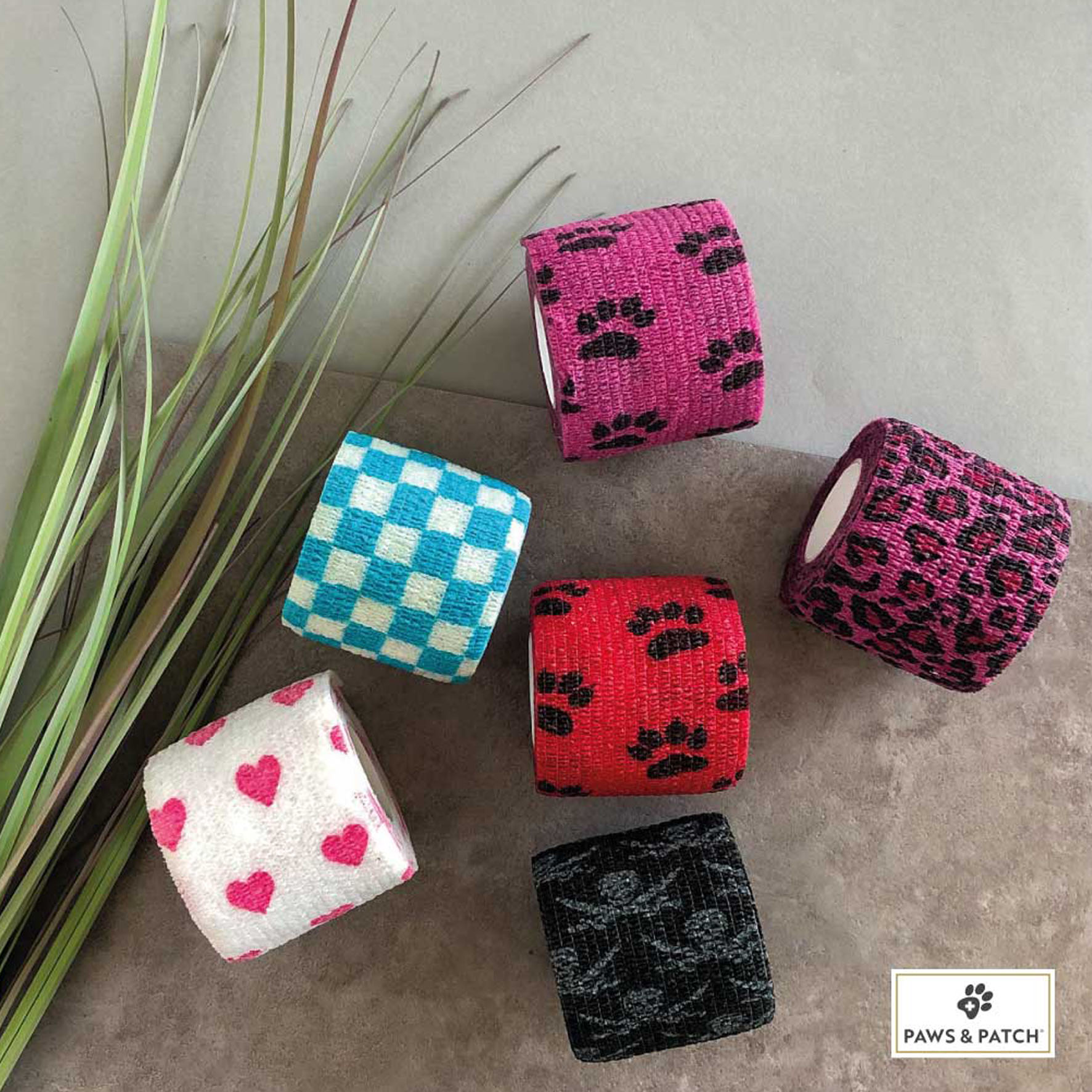 Paws & Patch Pansements auto-adhésifs MIX BOX Lot de 6 5 x 5 cm