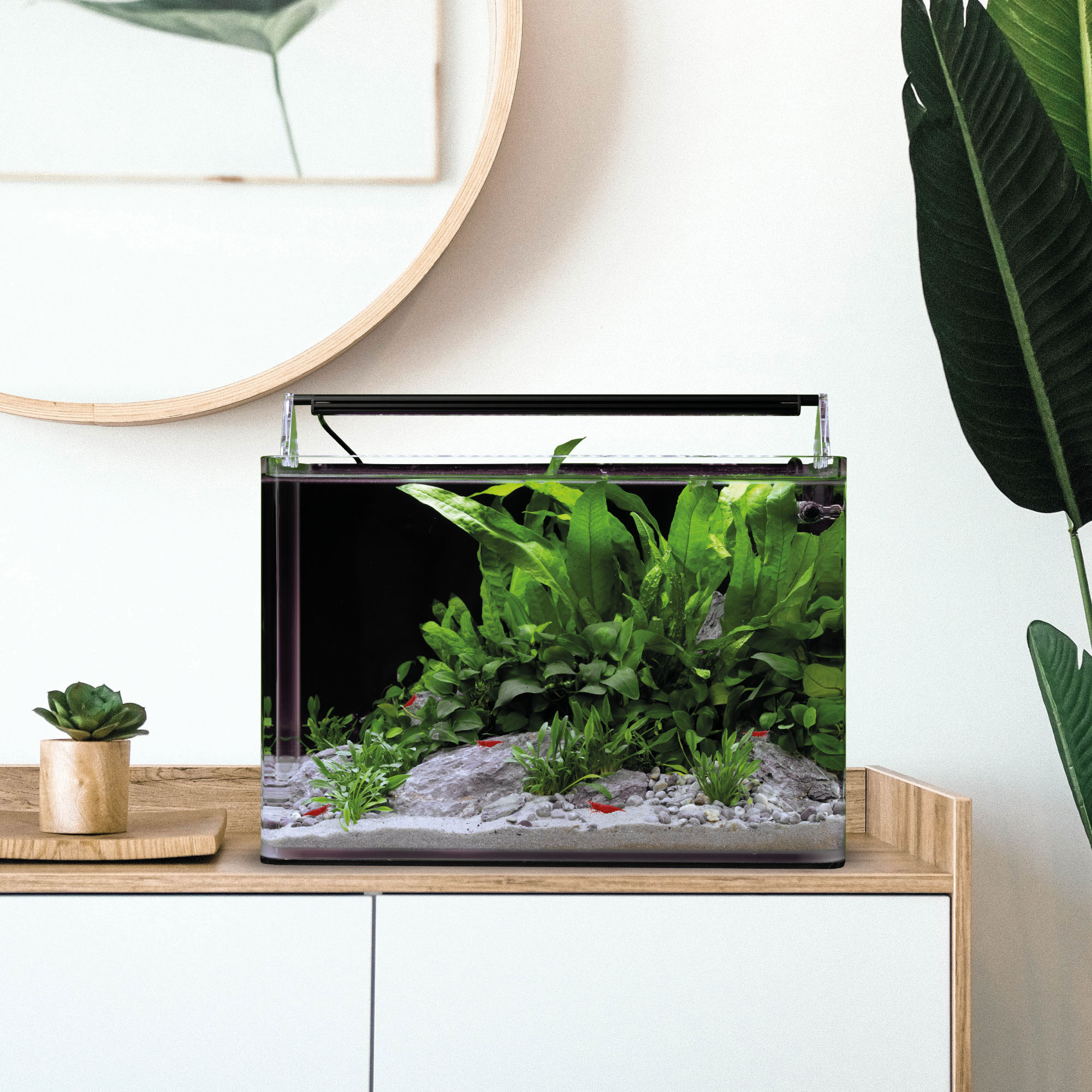 Dennerle Nano Tank Complete, 25 L