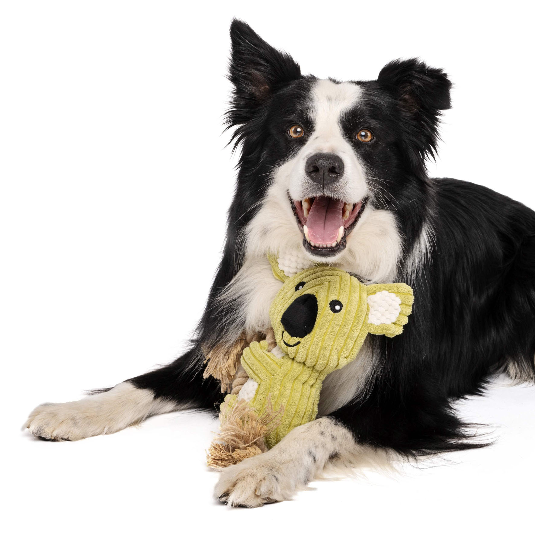 M-Pets Hundespielzeug Lars, weiss & grün, 37x16x10cm