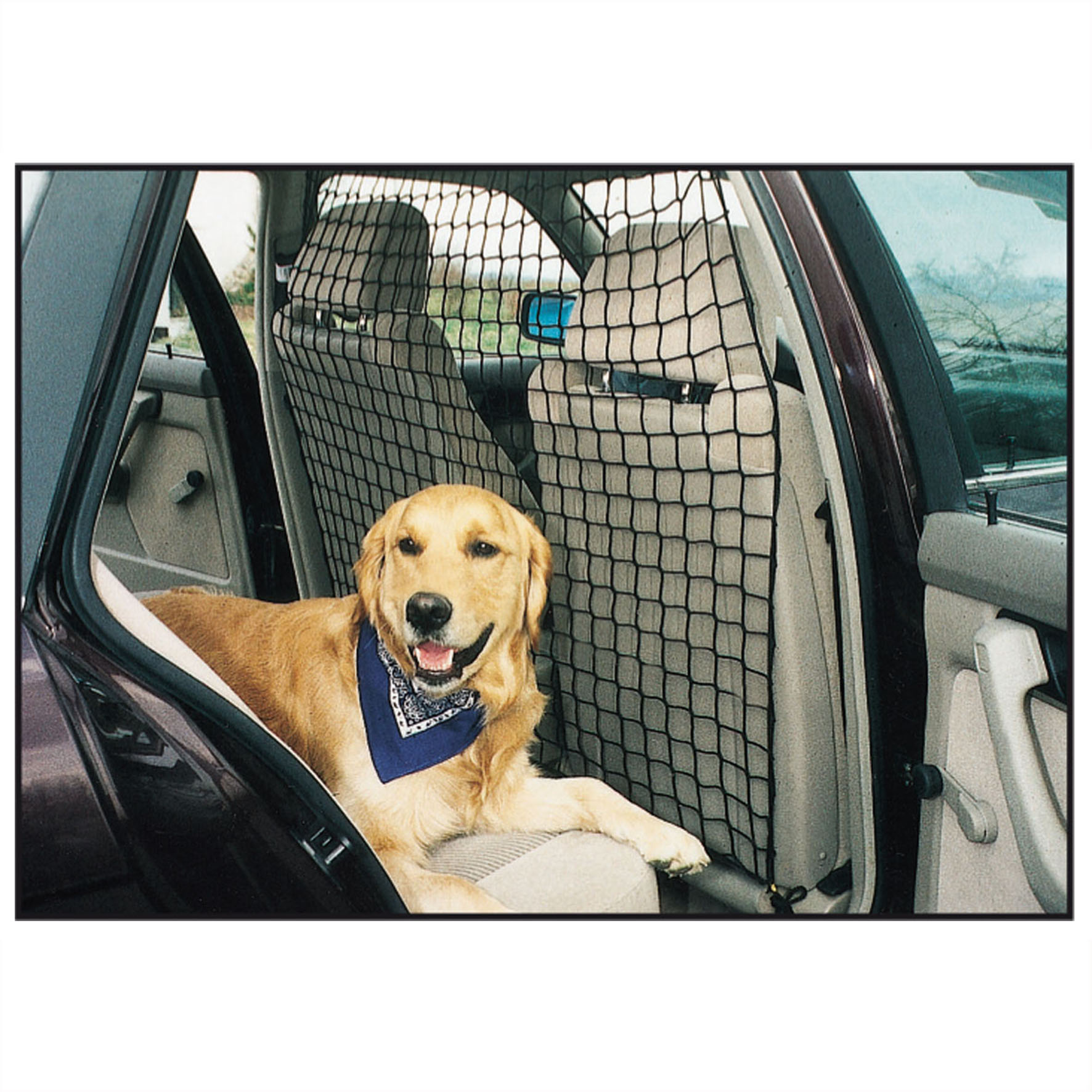 Autosicherheitsnetz 1