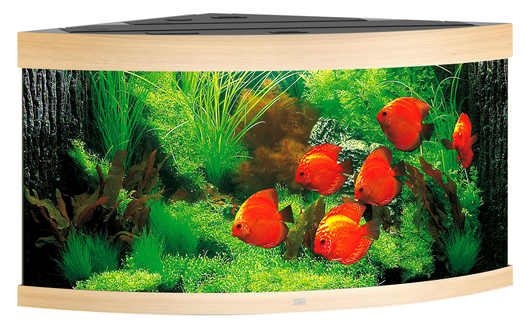 Juwel Eck-Aquarium Trigon 350, hell