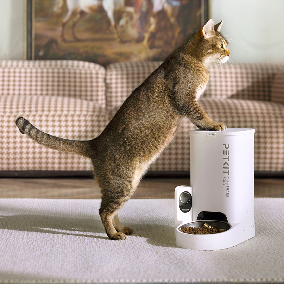 PETKIT YumShare Solo Distributeur automatique de nourriture avec caméra