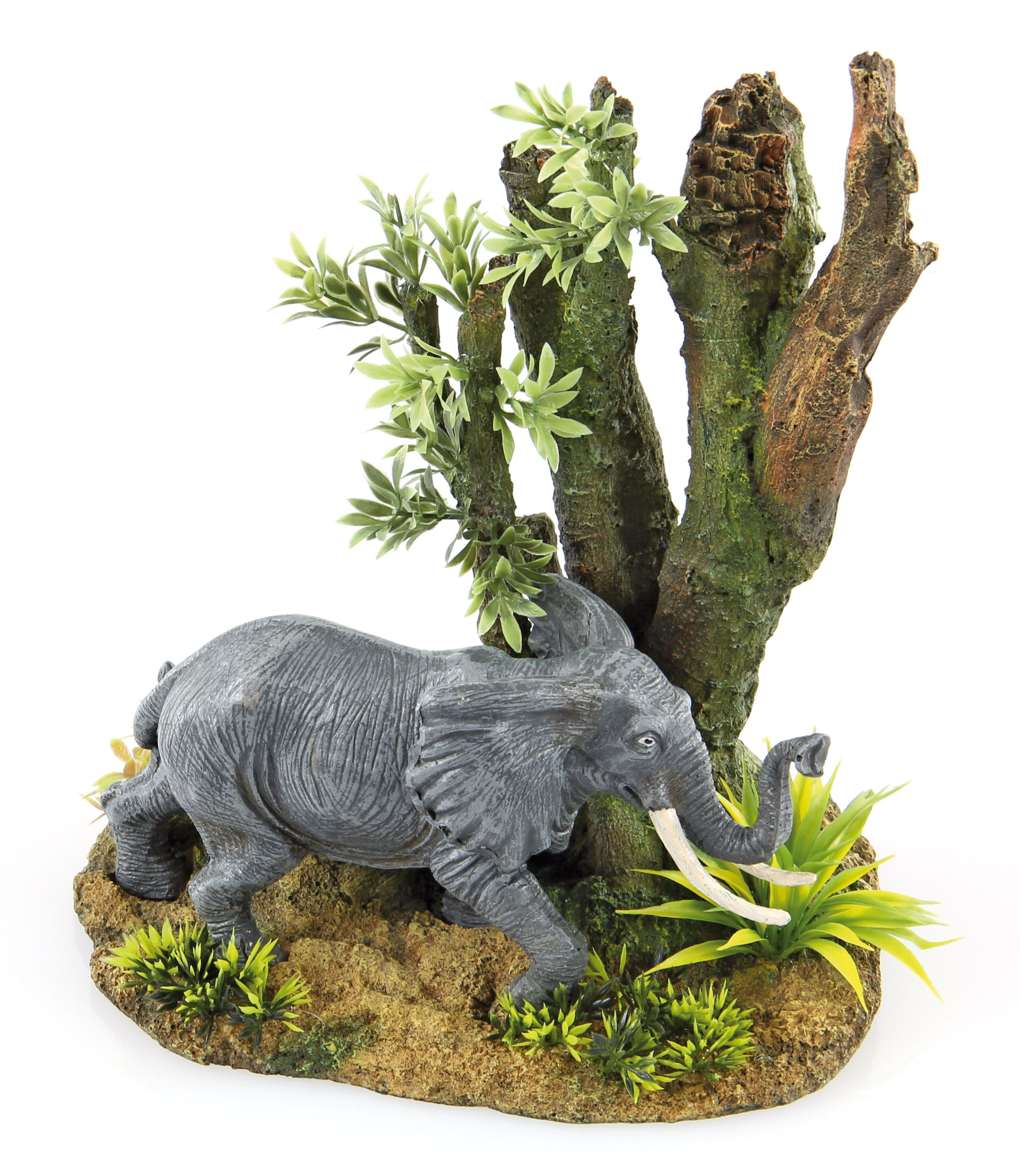 Amazonas Baum mit Elefant