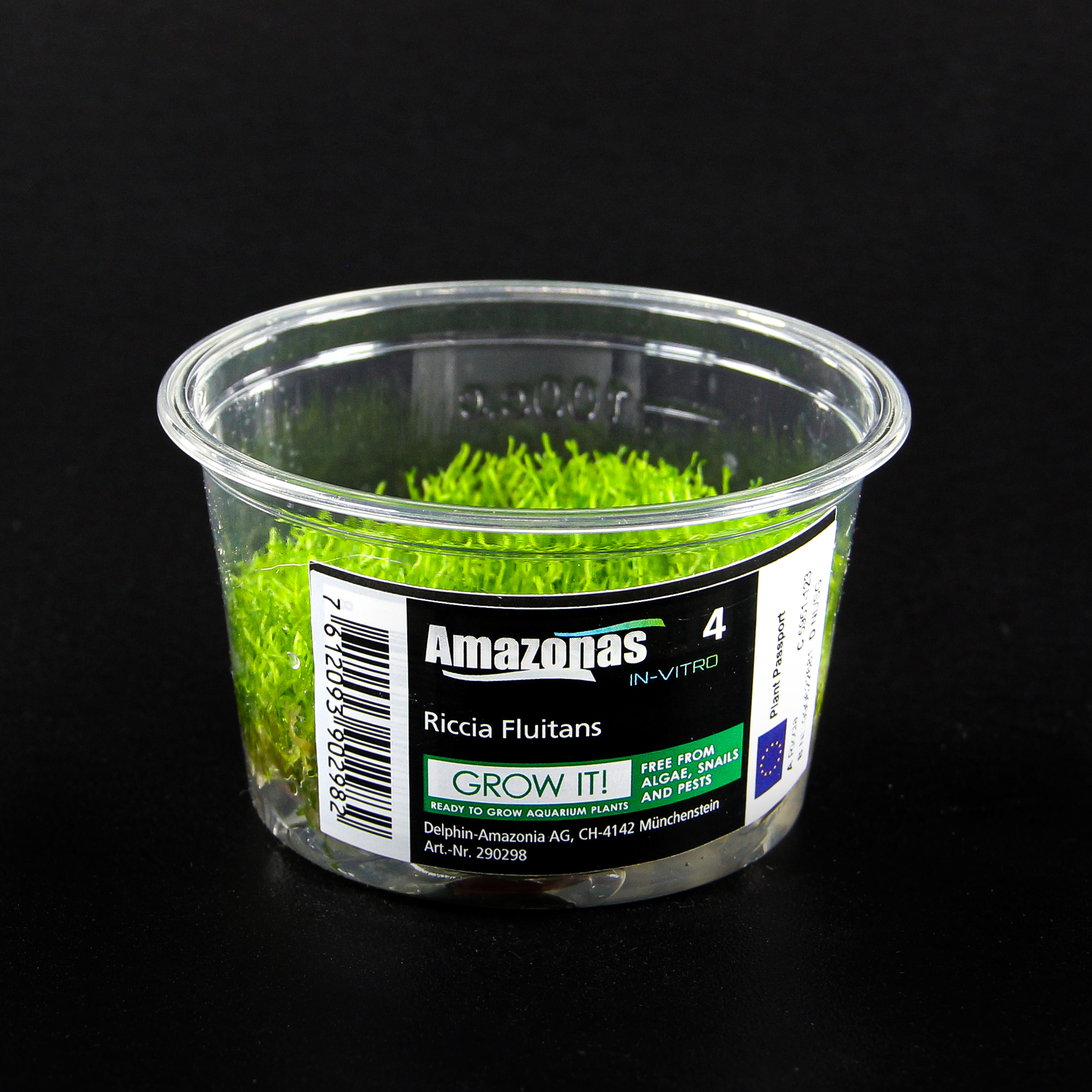 In-Vitro Riccia fluitans