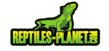 Reptiles-Planet