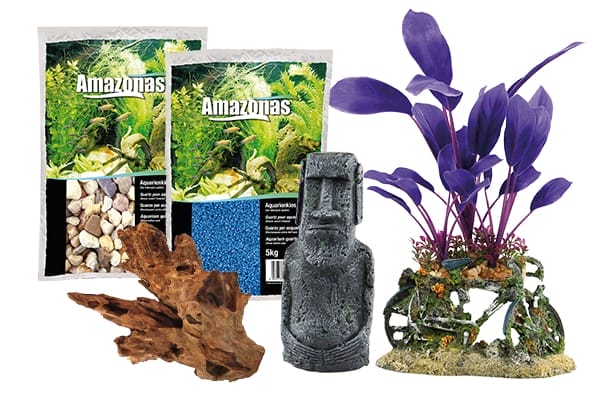 Aquarium Einrichtung