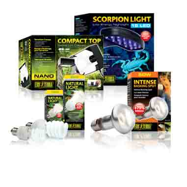 Terrarium Beleuchtung