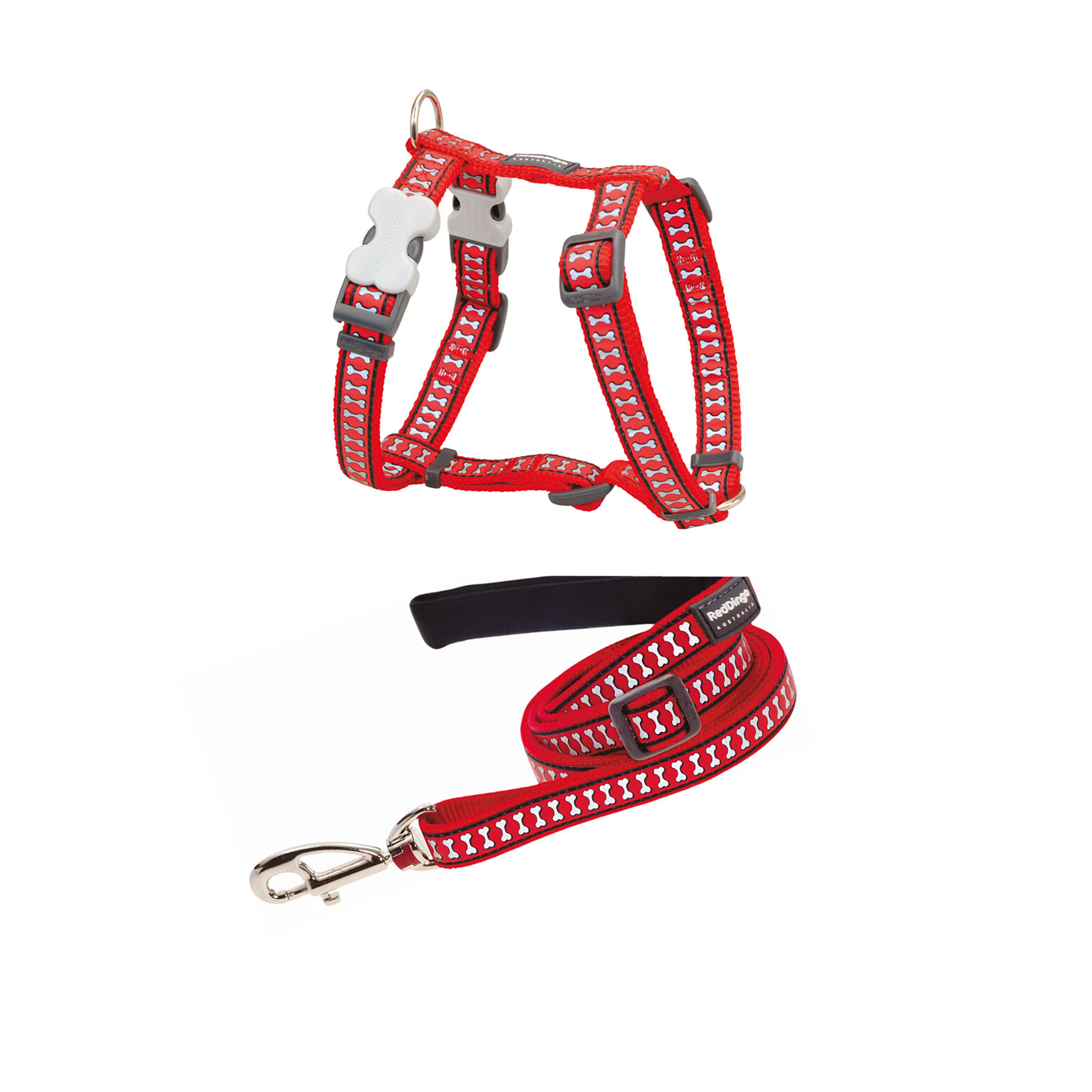 RedDingo harnais Reflective Bones Rouge