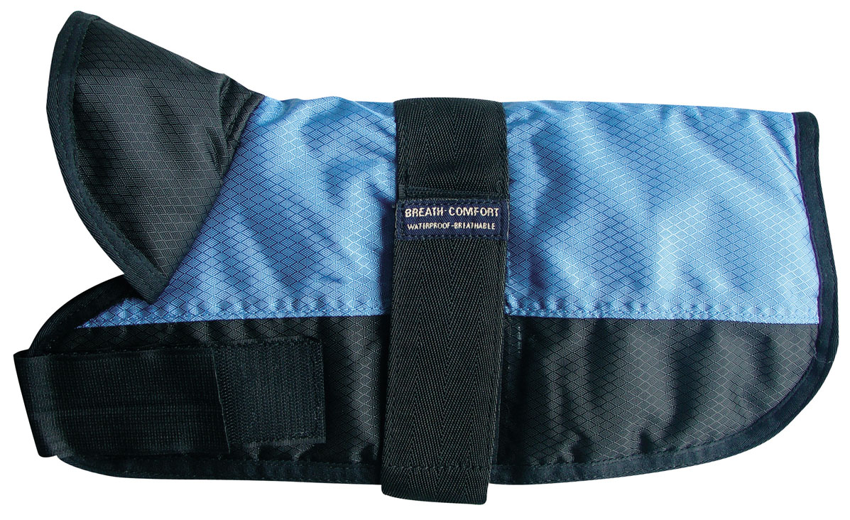 Hundeschutzmantel Icedog, blau