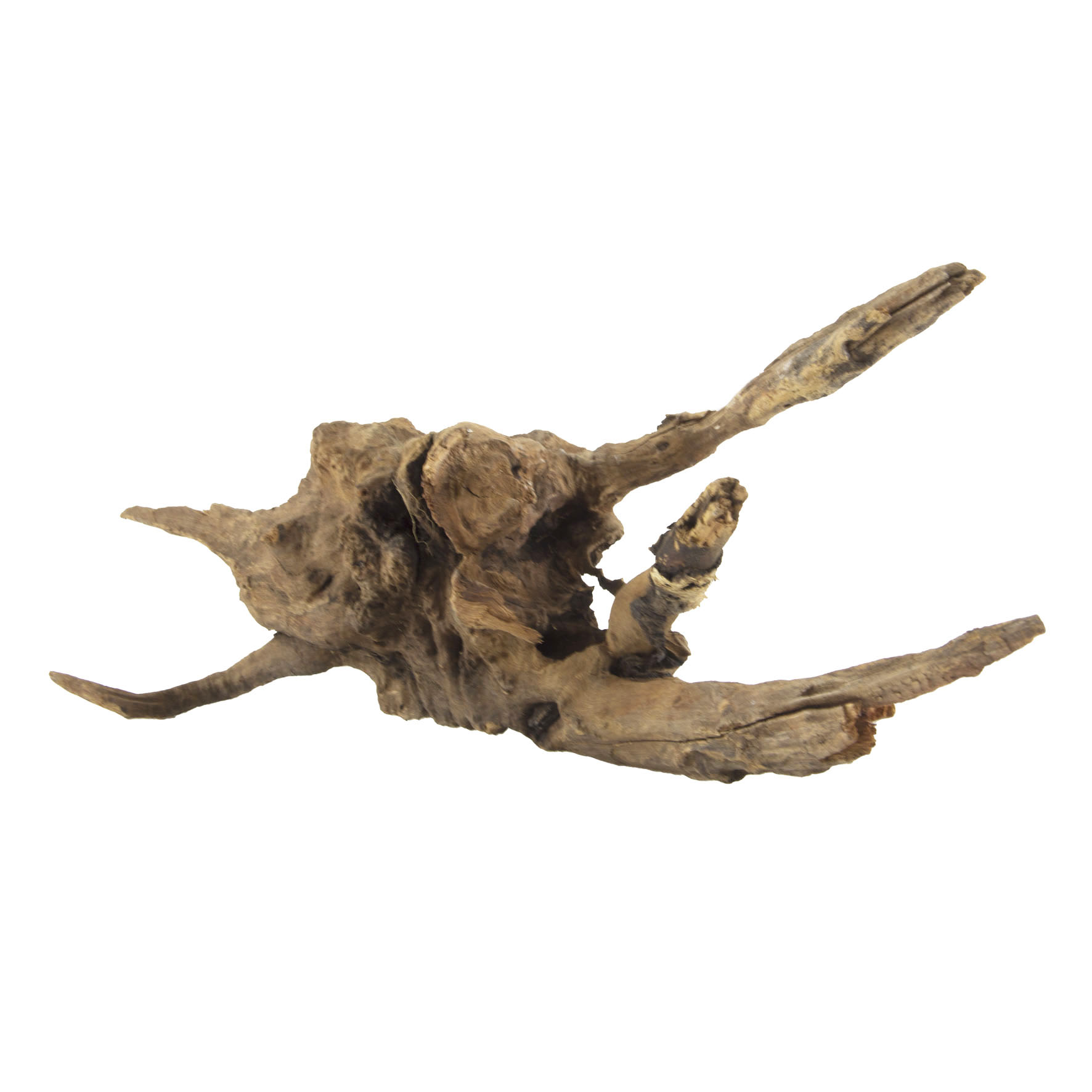 Natürliche Flusswurzel - Grösse S