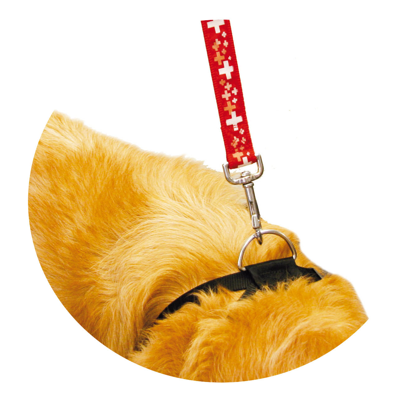 swisspet Hunde-Sicherheitsgeschirr DogSafe