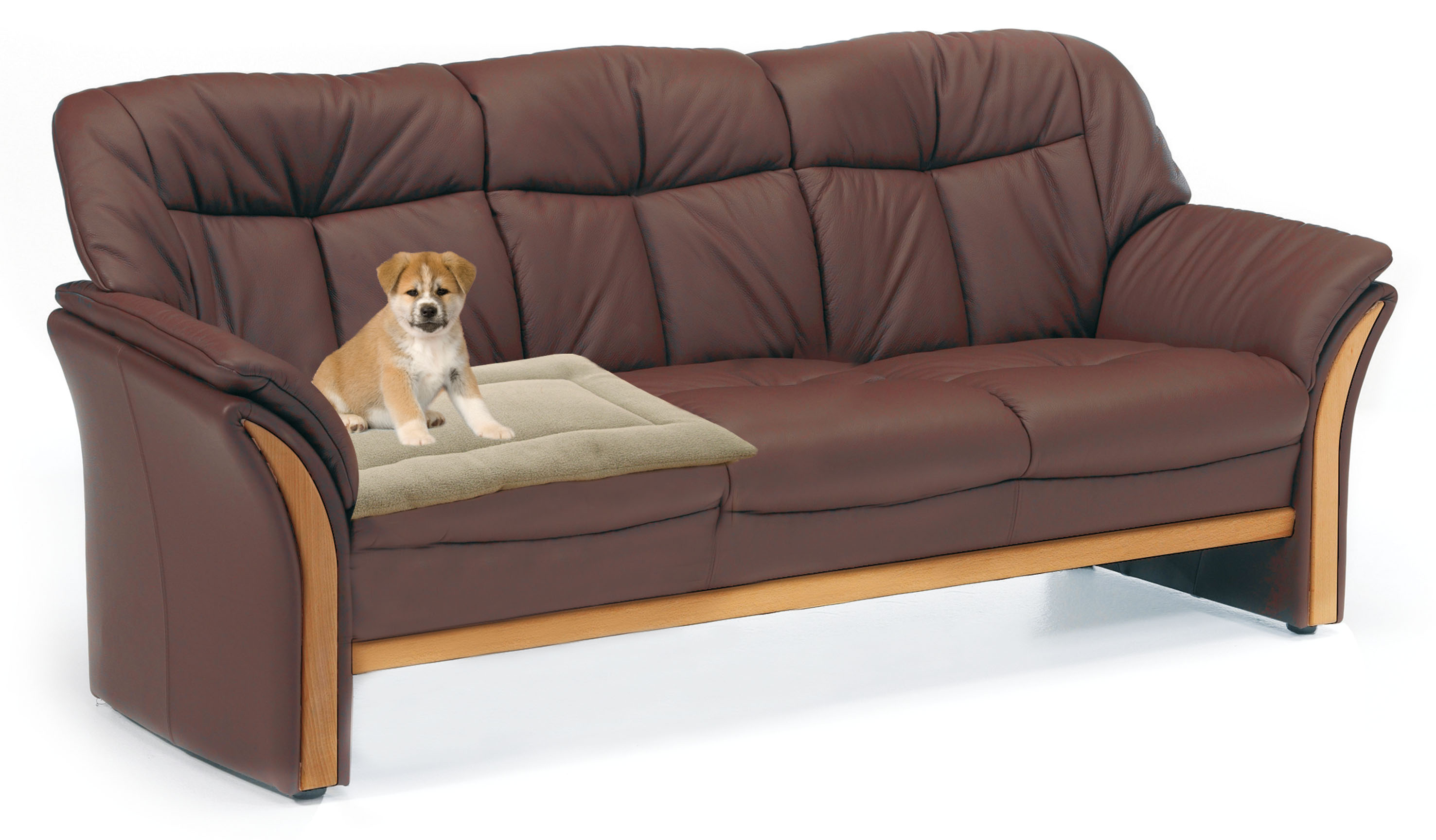 swisspet coussin à couché Arion, beige, S, 61x48x7cm