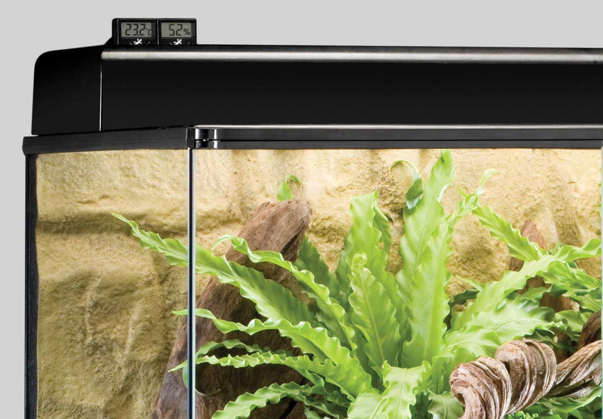 Exo Terra Combinaision thermomètre et hygromètre