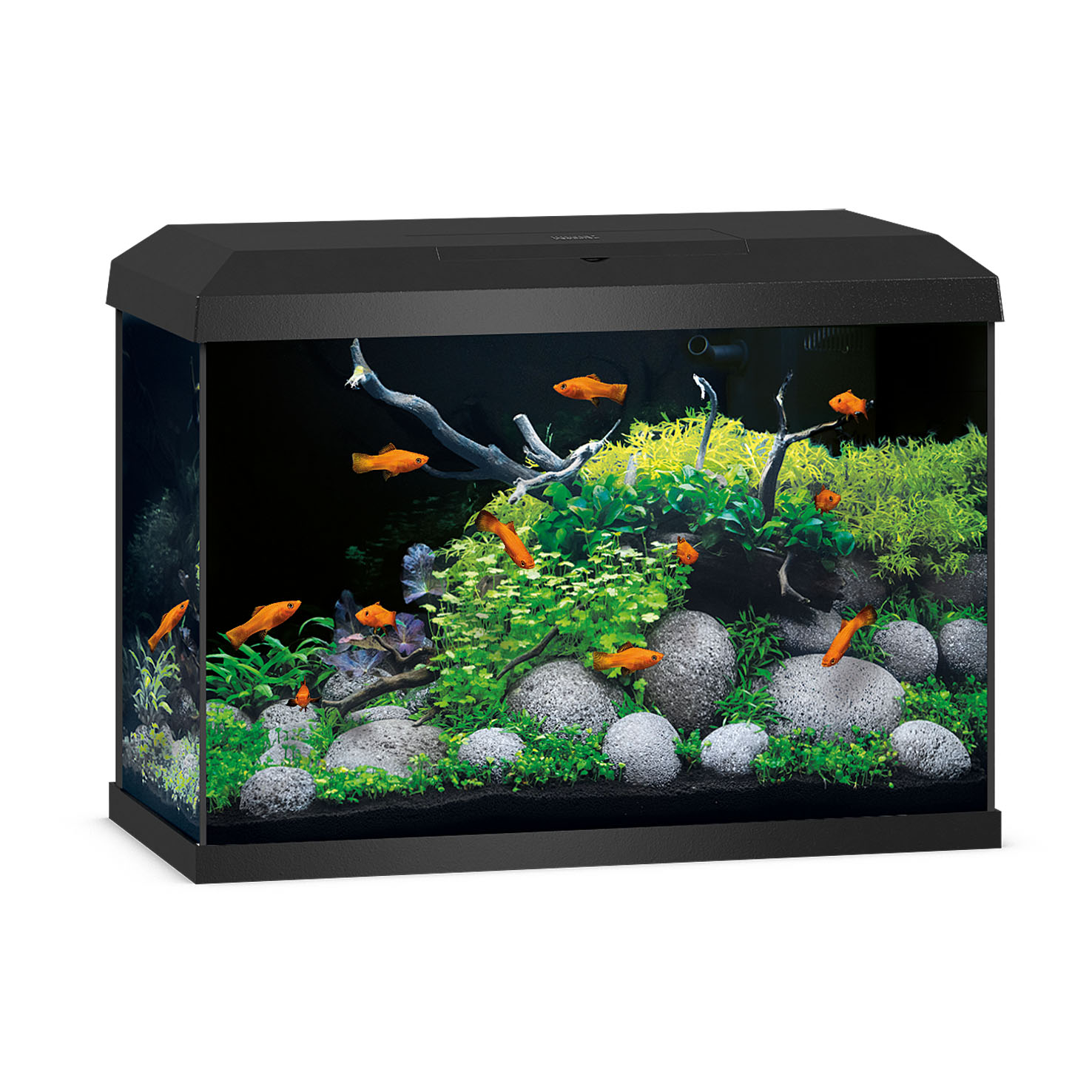 Juwel Aquarium Primo 70 LED 2.0, schwarz